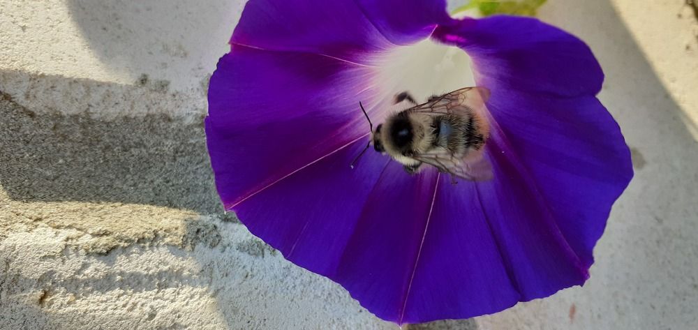 Photograph by Алсу Гиматова