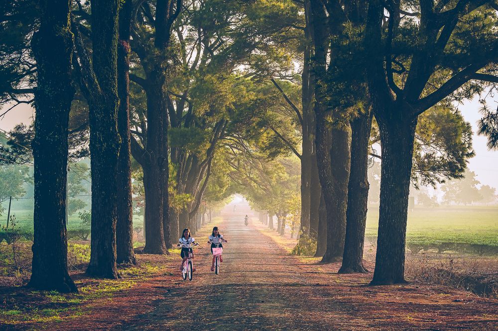 Photograph by Nguyen Ngoc Tuan