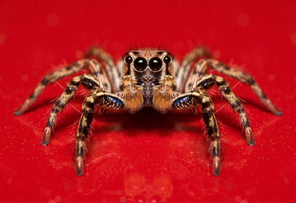 Фотография автора Abhinand R V