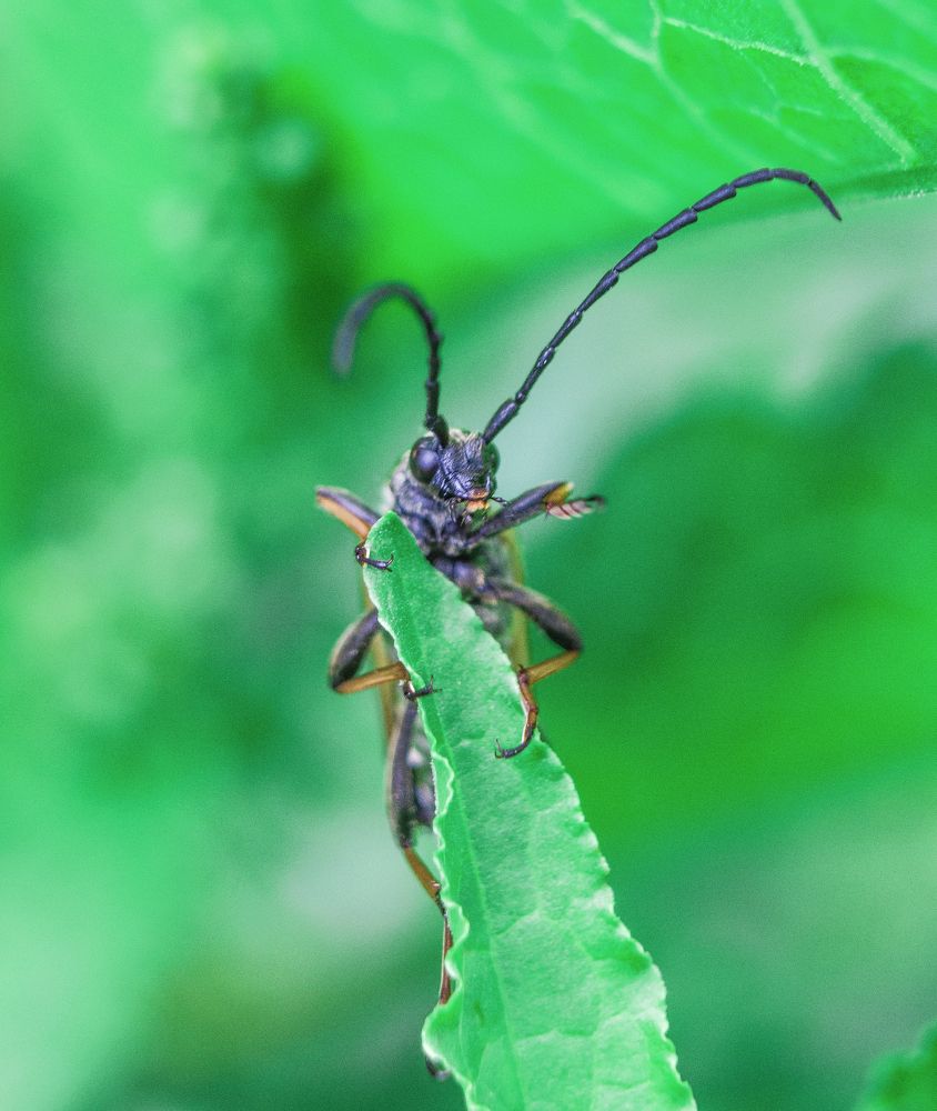 Photograph by Нина Минченко