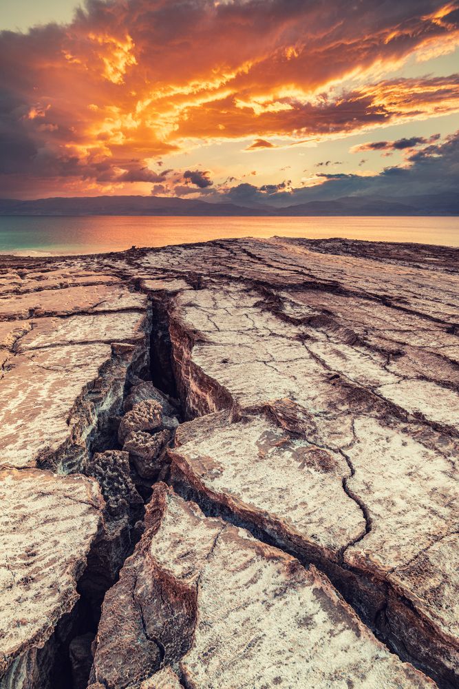 Photograph by Amir Ehrlich