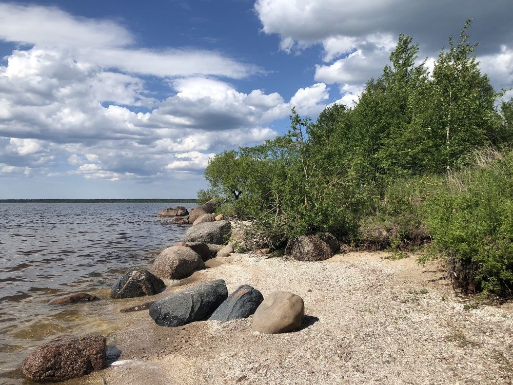 Photograph by Галина