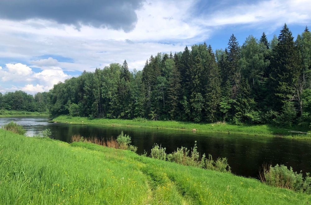 Photograph by Галина