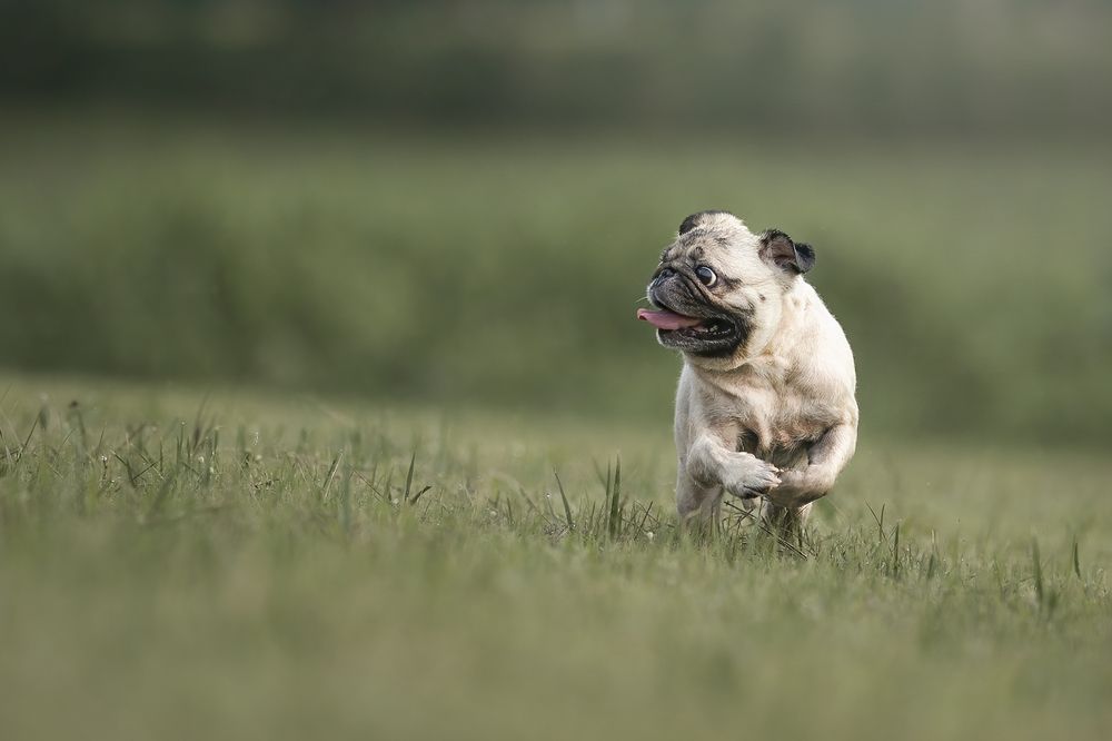 Фотография автора Bernard Sim