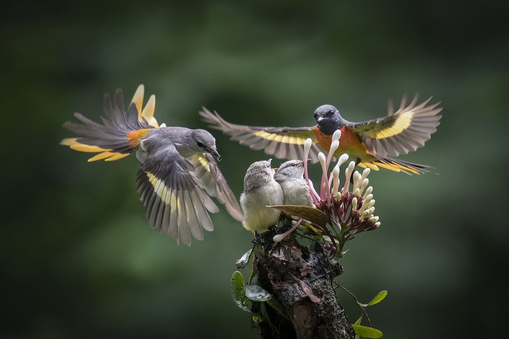 Photograph by Setiadi Ajar