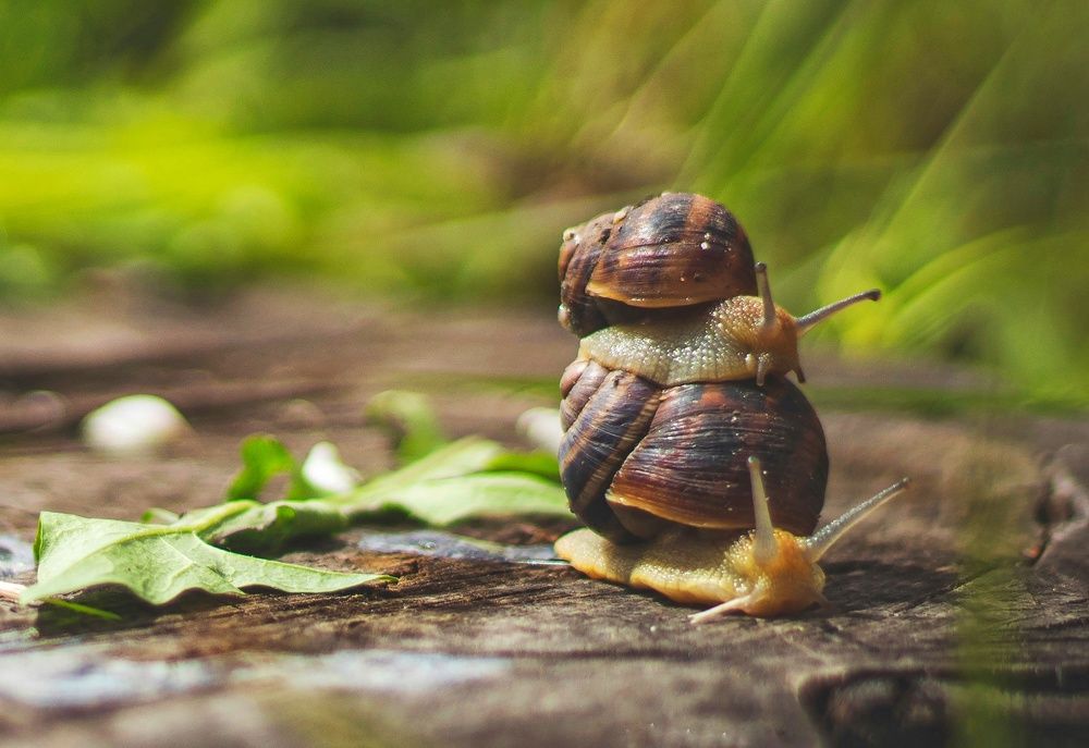 Поедем красотка кататься))