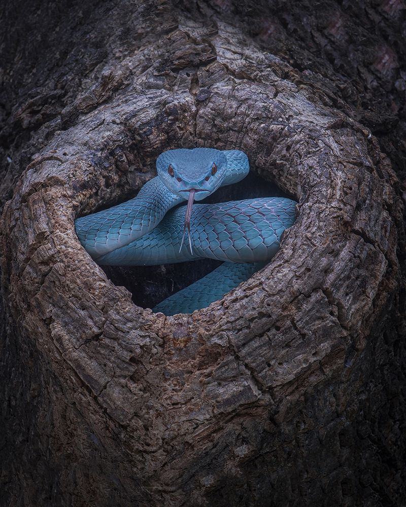 Photograph by Setiadi Ajar