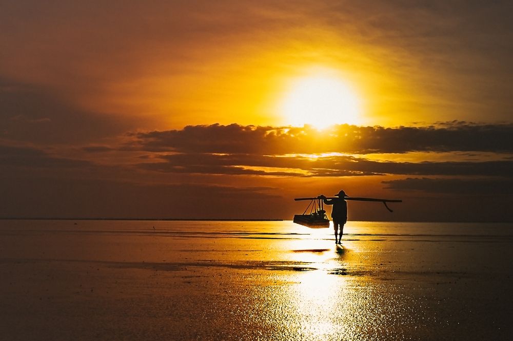 In the morning light