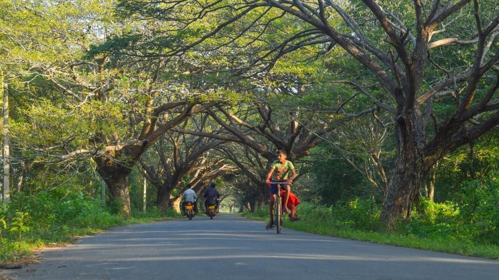 Photograph by Mayura Kirikaran