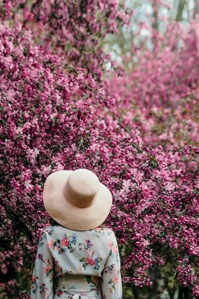 Фотография автора Виктория