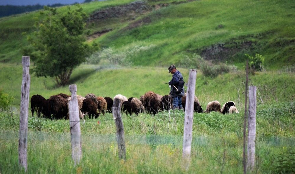 Photograph by Лариса Стрекулева