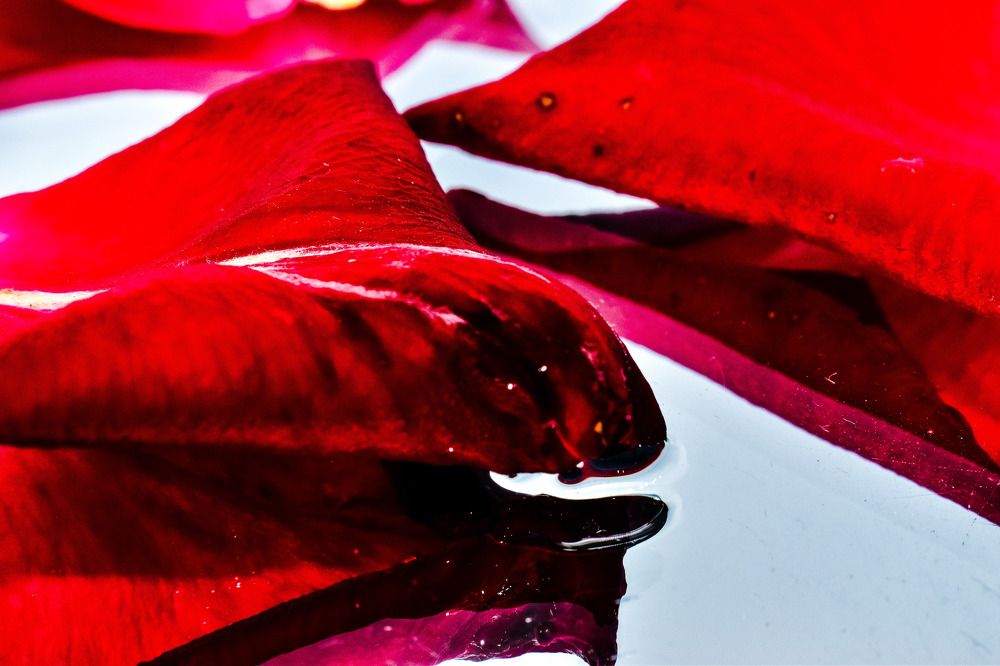 Фотография автора Алина Батын