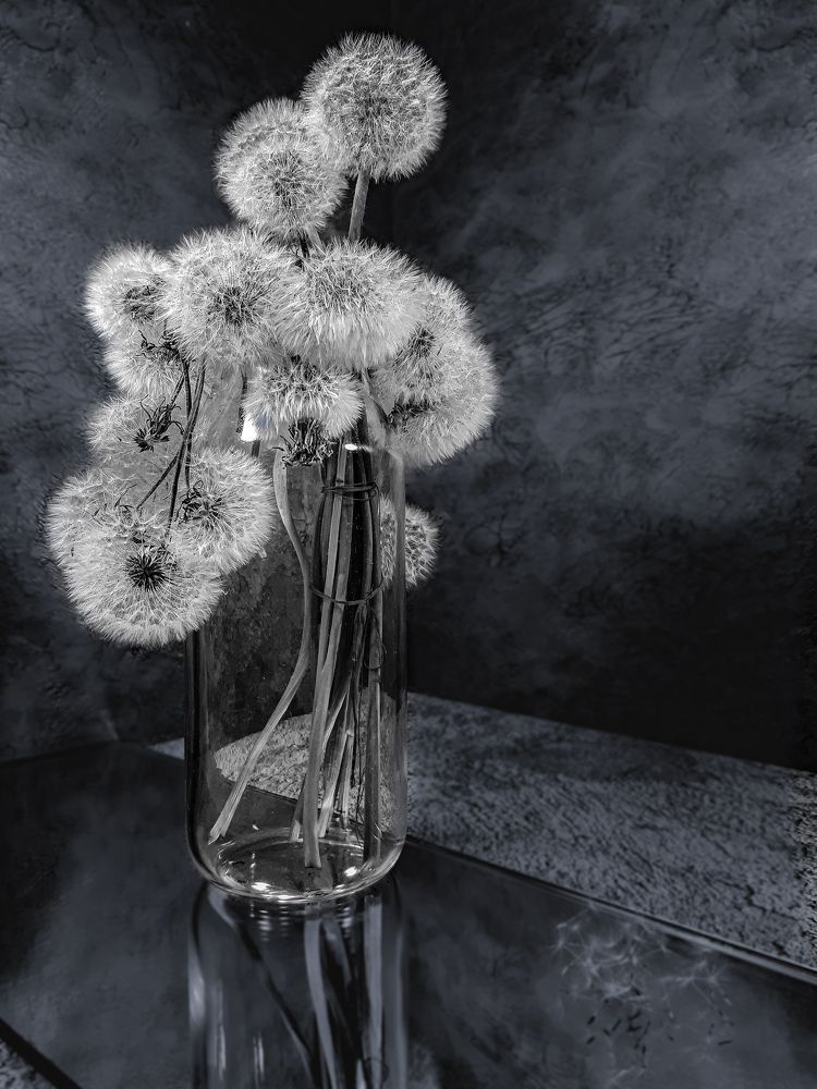 Photograph by Анна Кабиева