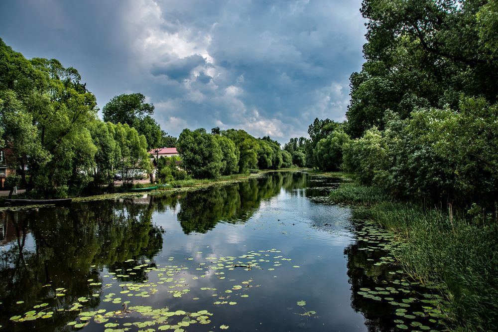 Трубеж перед грозой.