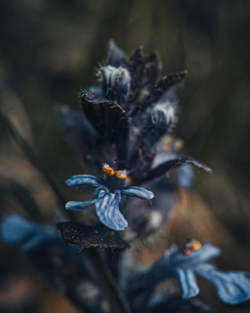 Photograph by Ярослав Саватейкин