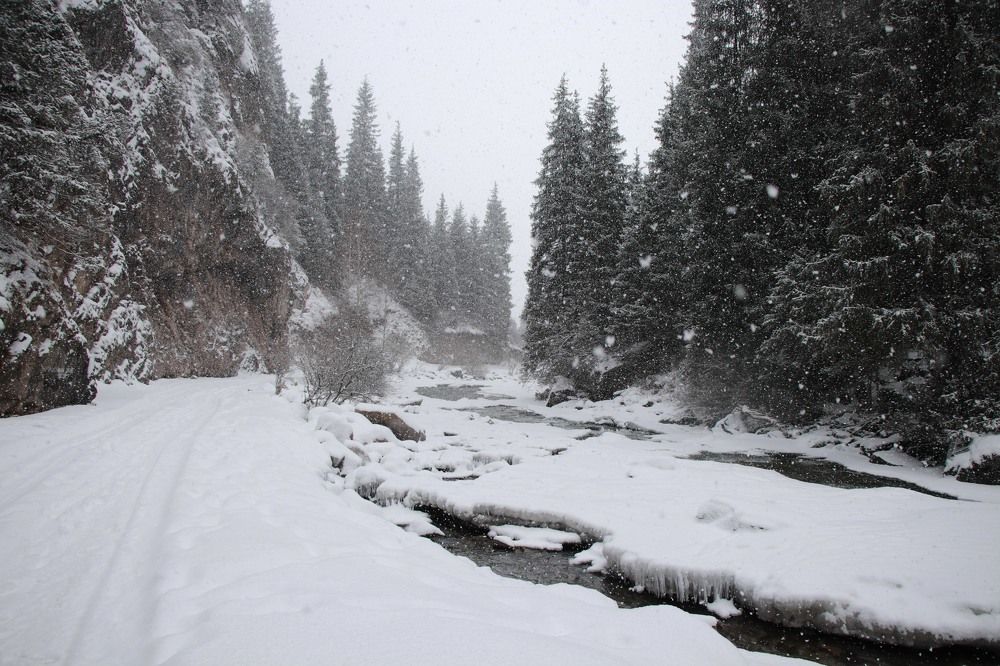 Photograph by Виктория Пономарева