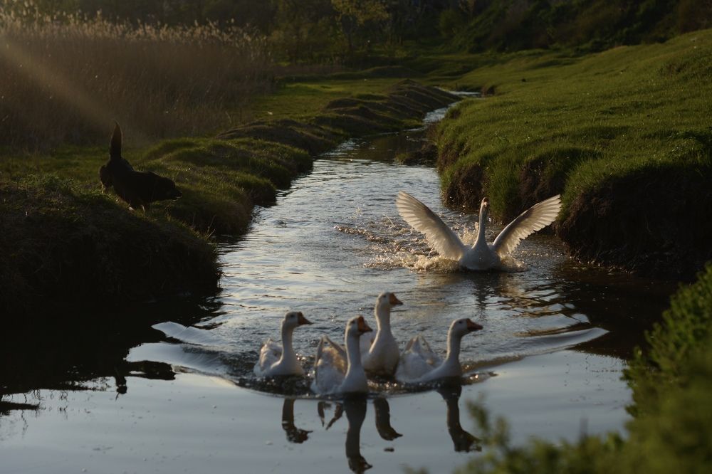 Photograph by Лоредана Шеффер