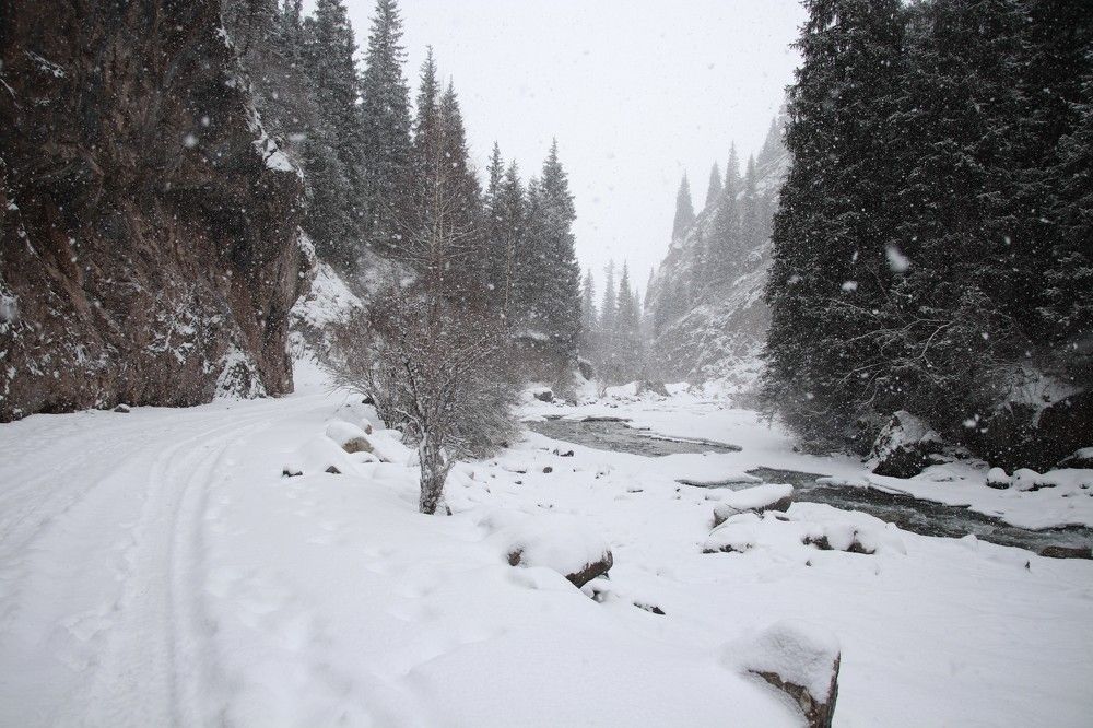 Photograph by Виктория Пономарева