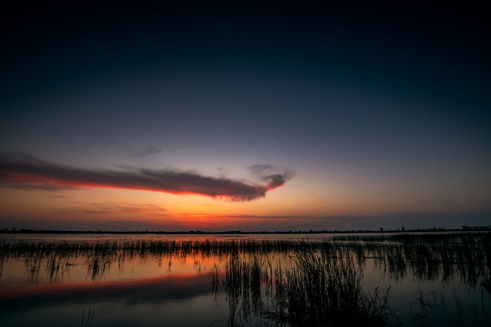 Photograph by Seyad Sajad Mirrahimi Daryasari