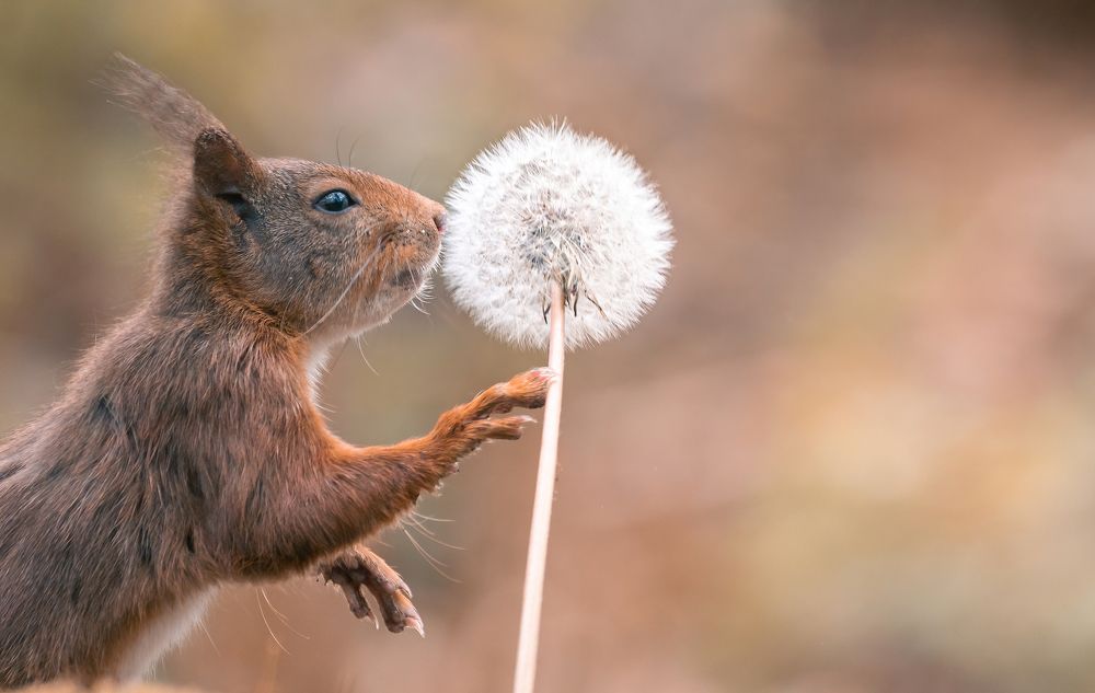 Photograph by niki colemont