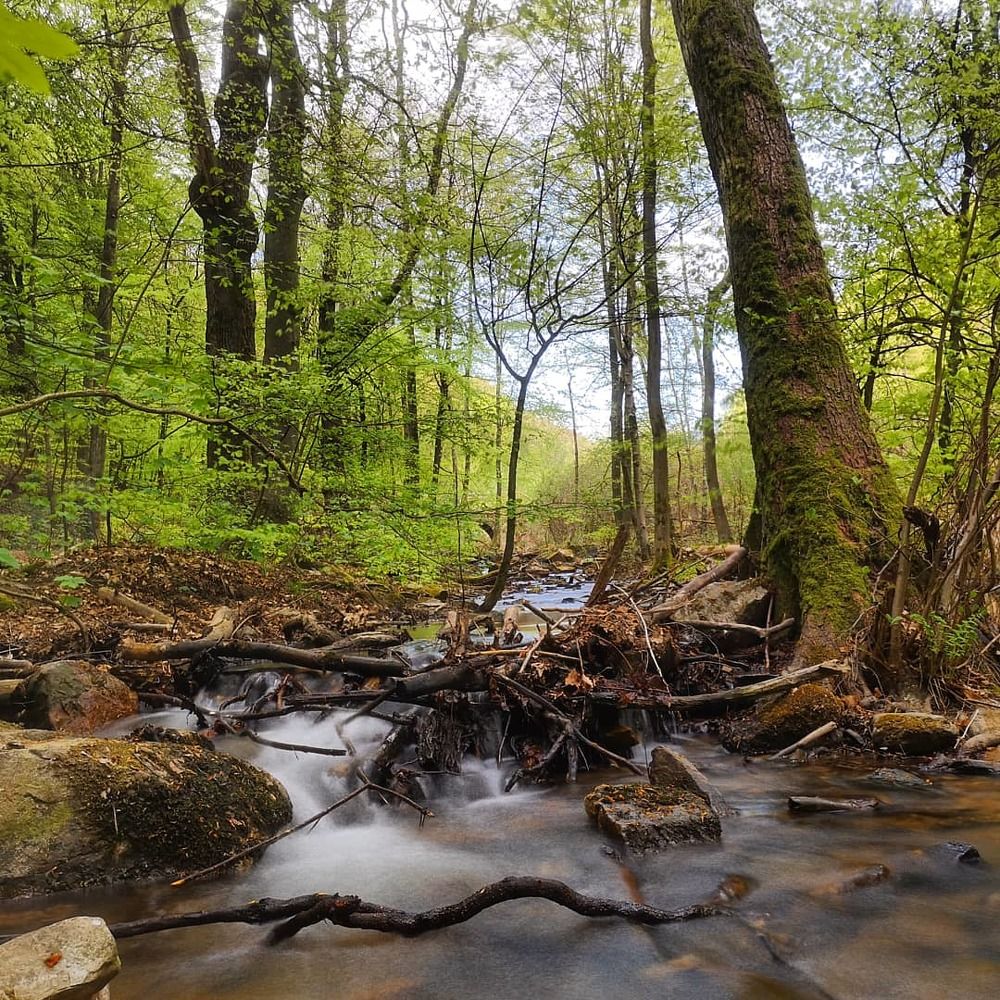 Photograph by Dmitry Shvarev