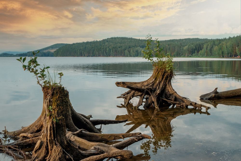 Царство Водяного.