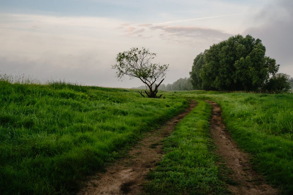 Photograph by Городничева Елена