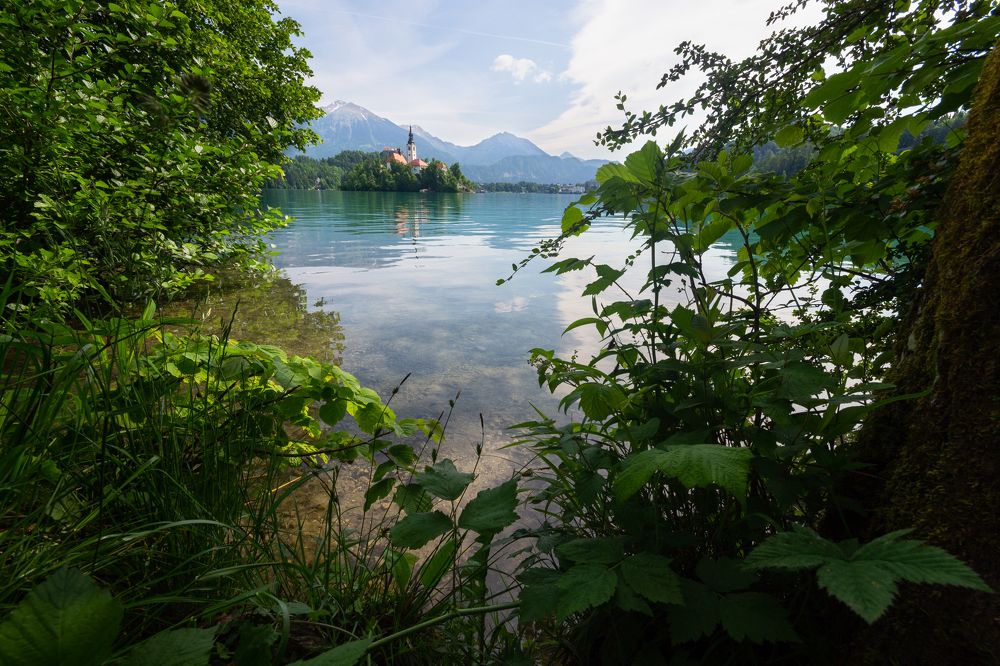 Photograph by Fahrudin Seferagić