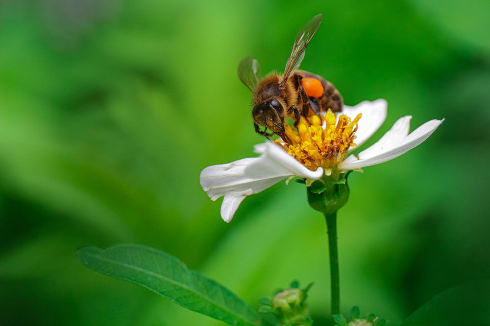 Photograph by Marcial Comerón