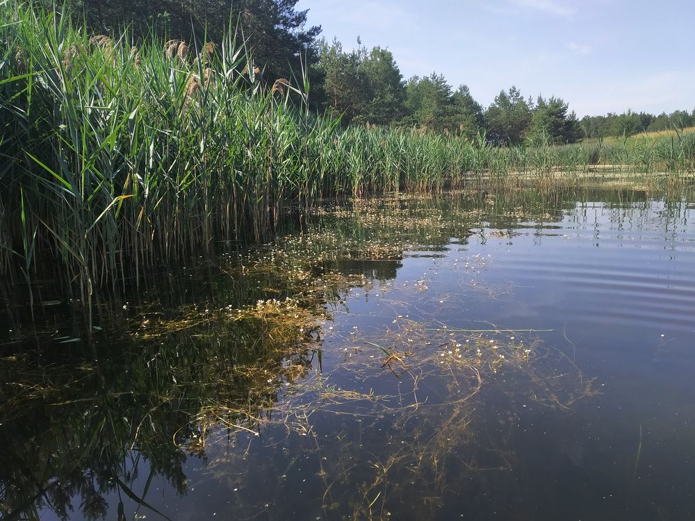 Photograph by Владимир Воложинский