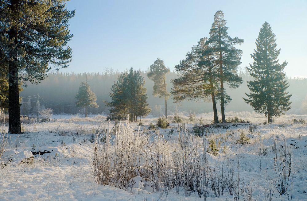 Photograph by Воинков Виктор
