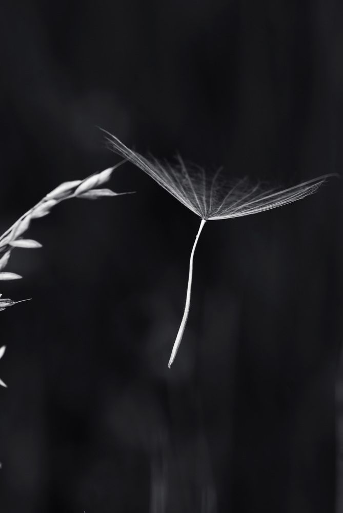 Photograph by Натали