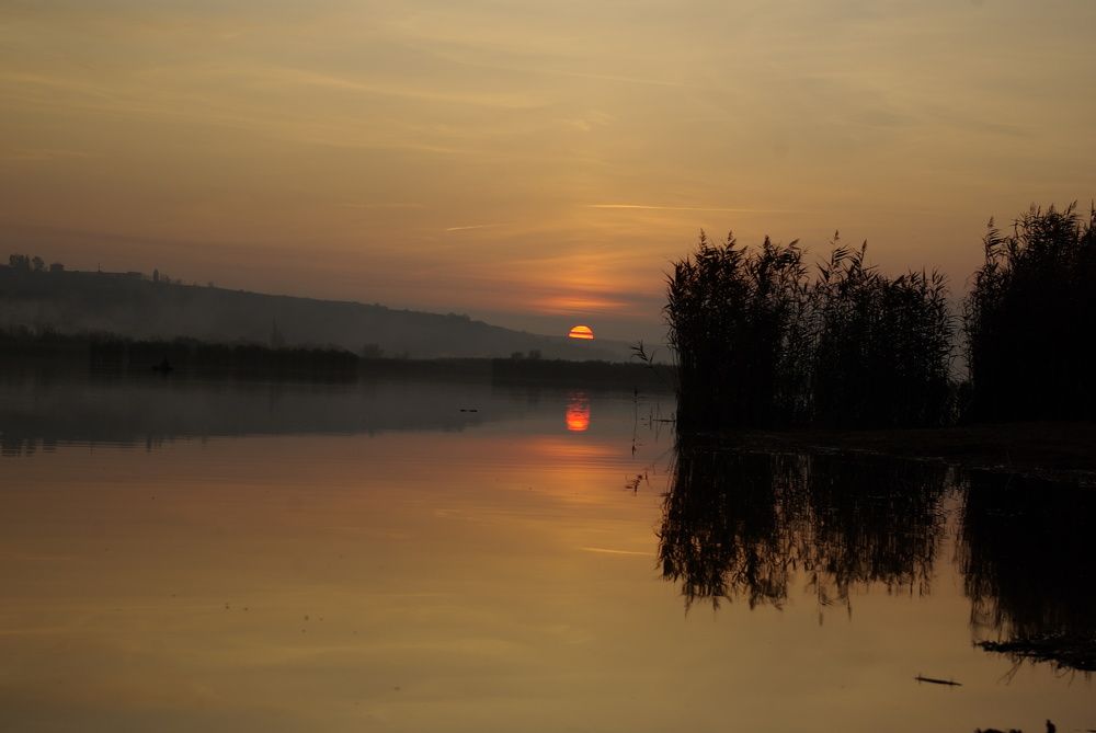 Предзакатное. Кодыма.