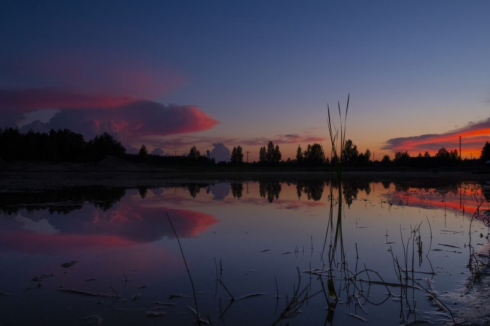 Photograph by Sandra