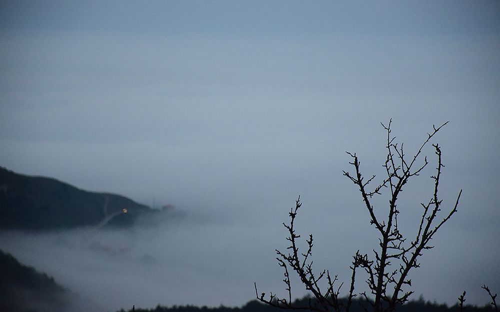 Photograph by Mahta Heidaripour