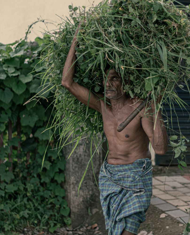 Photograph by Salman Nazeer