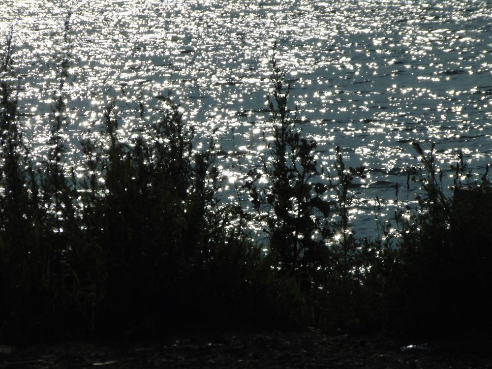 Photograph by Дарья Муллина