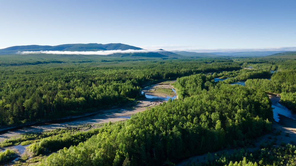 Photograph by Алексей Зайцев