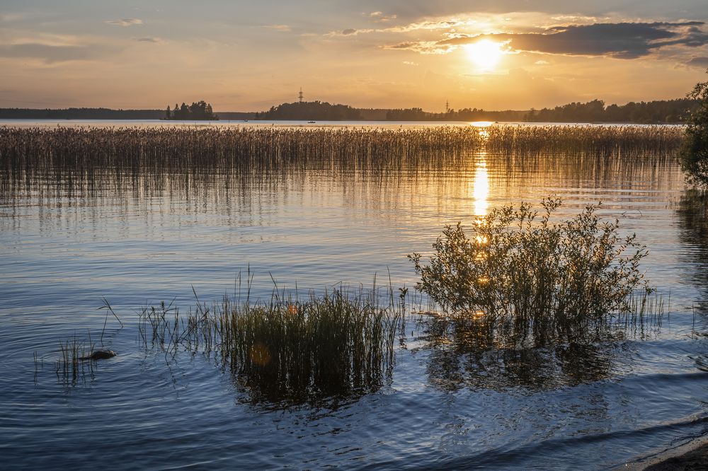 Photograph by Максим Сорокин