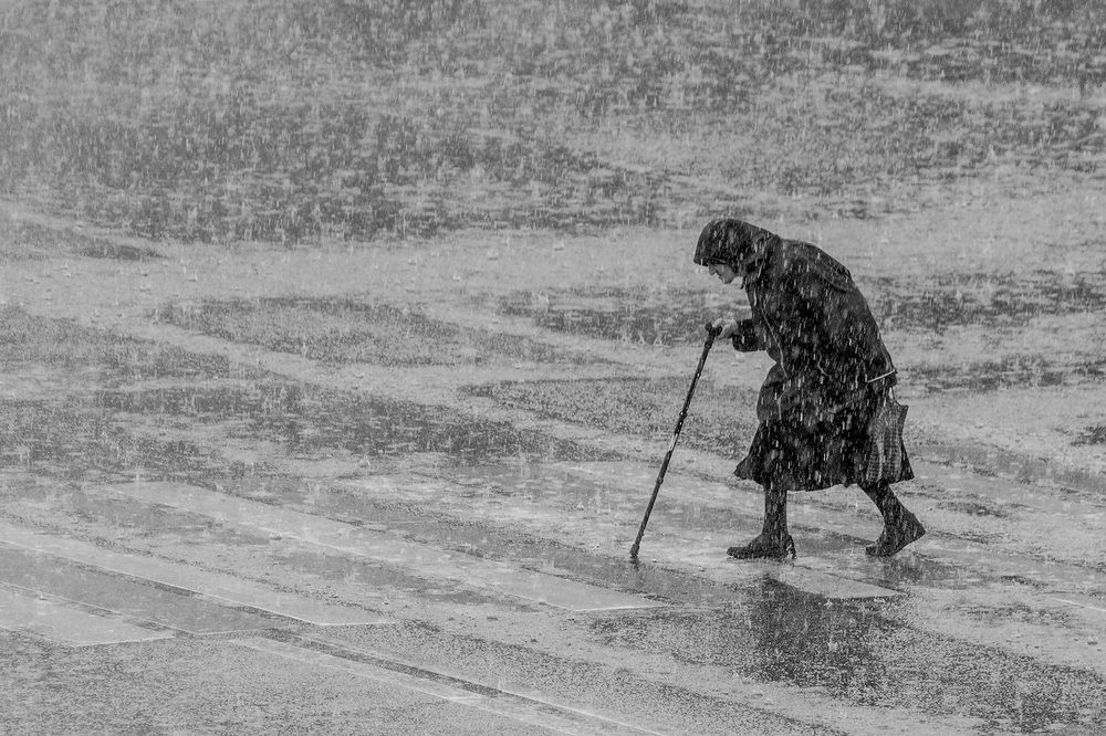 Залиты дождями