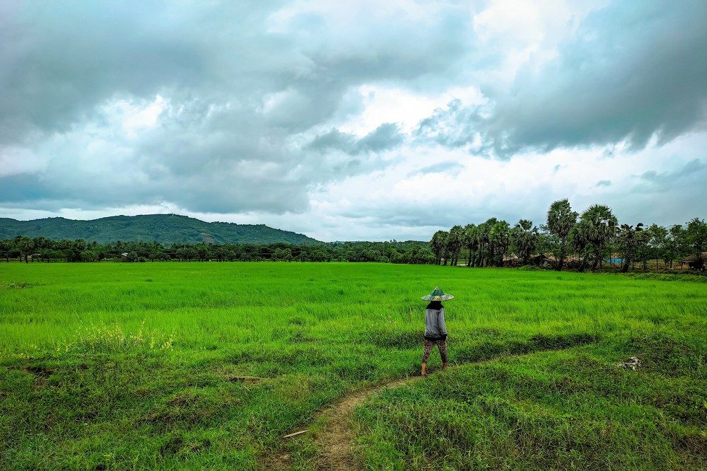 Photograph by Zin Minoo