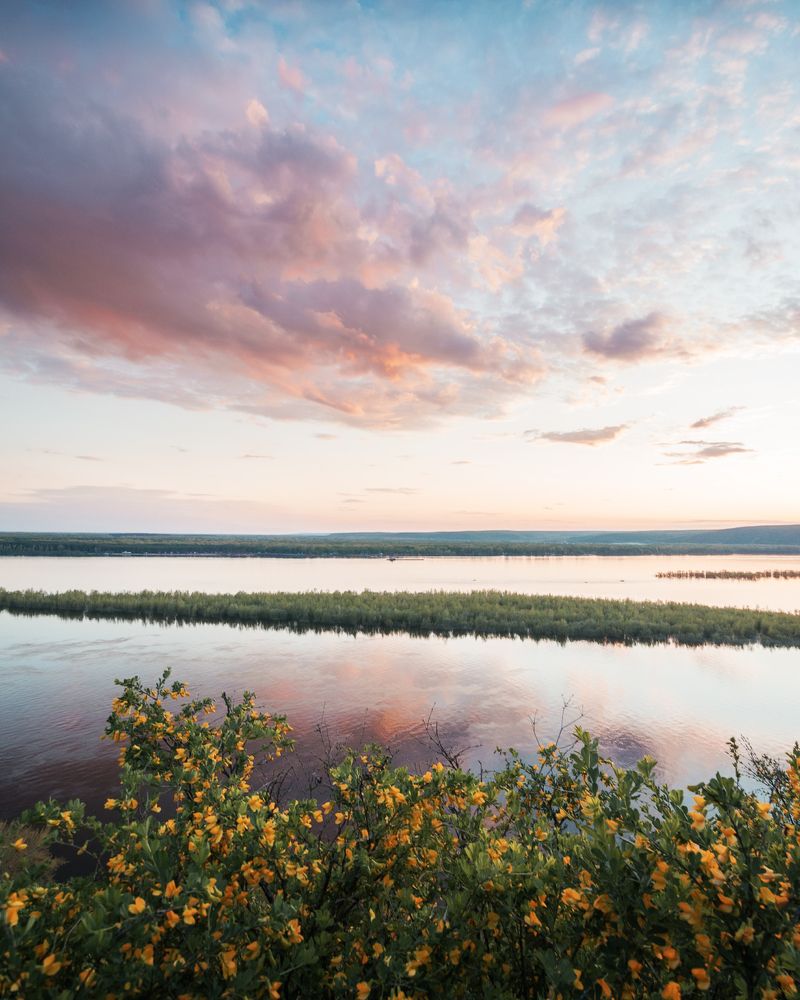 Фотография автора Алексей Проняхин