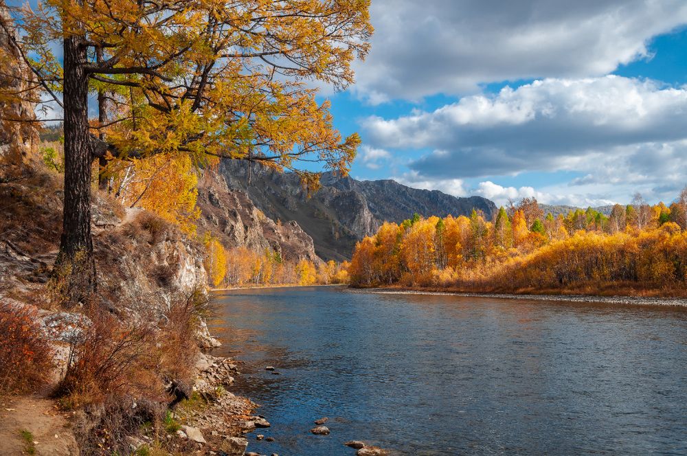 Осень на реке.