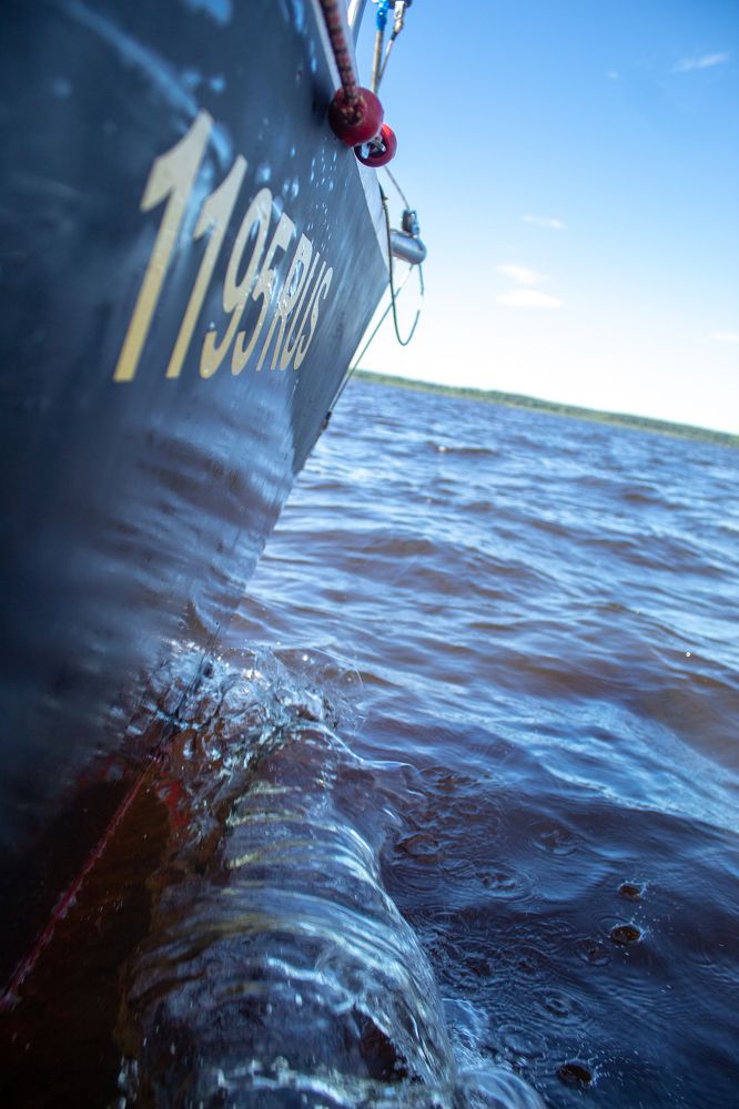 Photograph by Татьяна Казакова