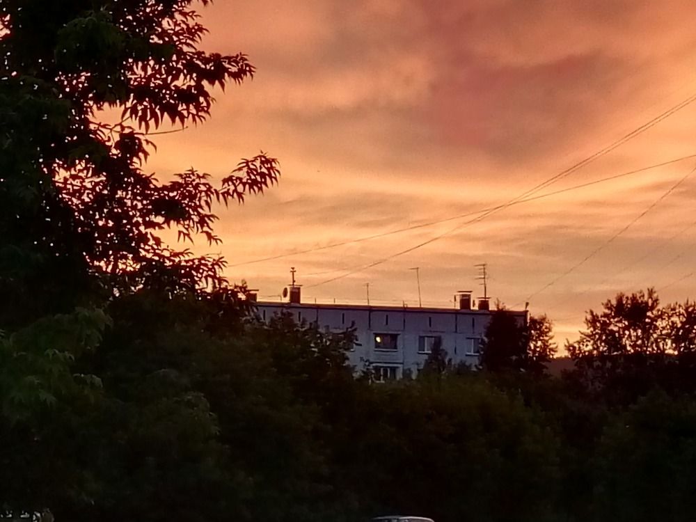 Photograph by Илья Поляков