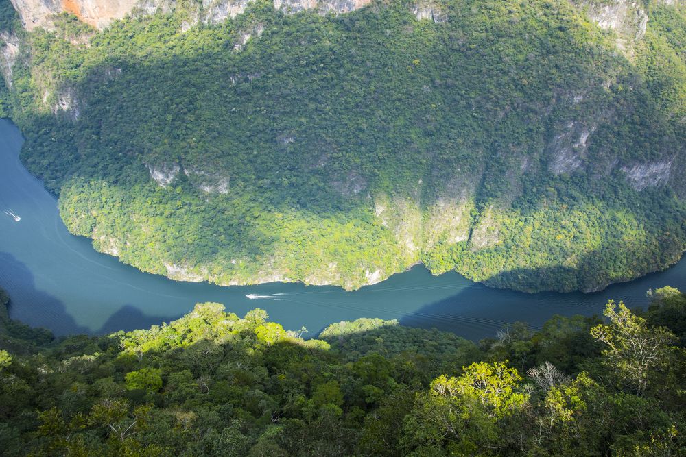 Photograph by Ignacio Jarero