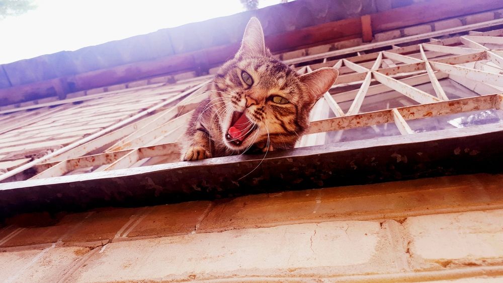 Photograph by Алёна Бондаренко