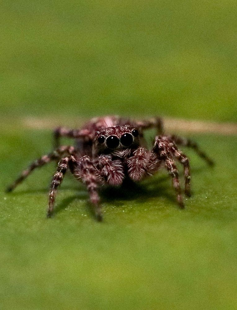 Photograph by Ирина Корабельникова