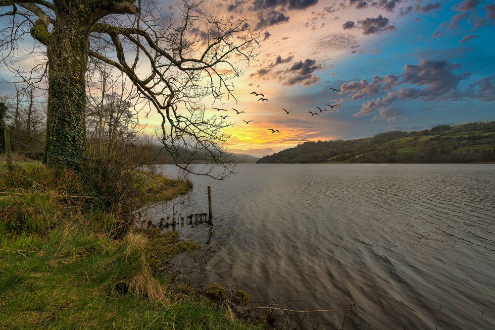 Photograph by Alexander