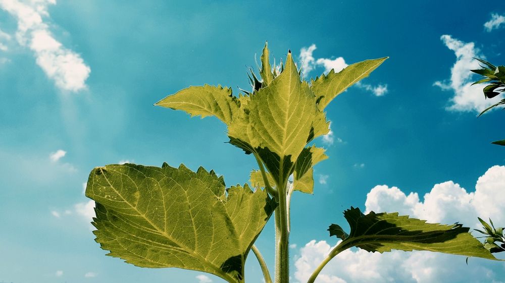 Photograph by Алёна Бондаренко